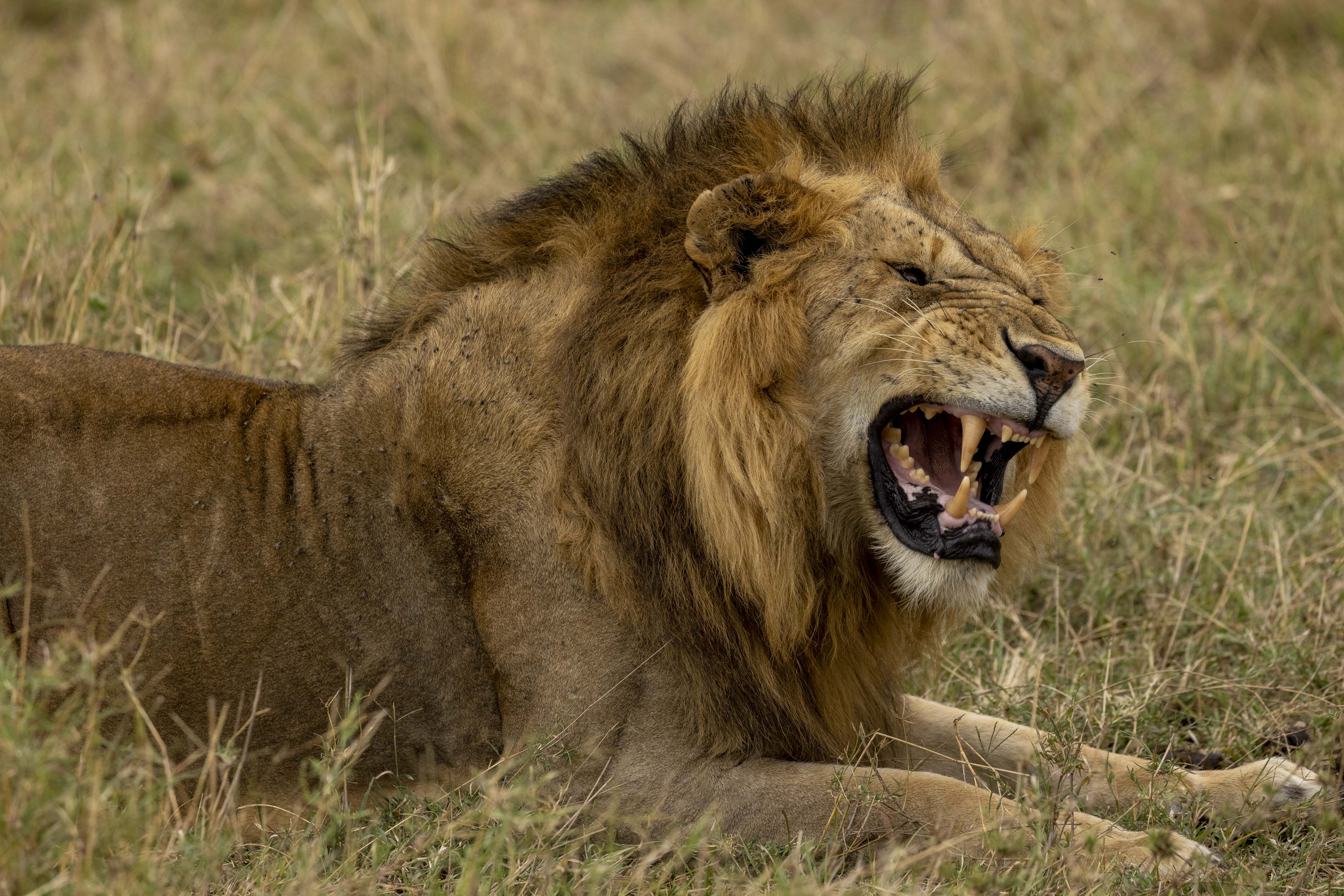 November 10, 2022-163813-2.jpg